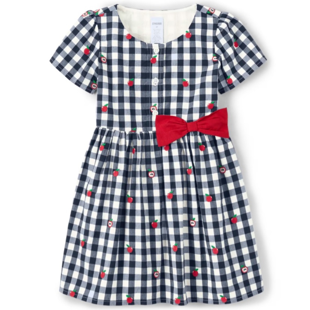 Gymboree Navy Gingham Apple Poplin Dress Size 5T